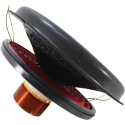 Drop-in recone Riot 12" V2