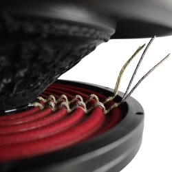 Drop-in recone Rage XL 12 v1 D1