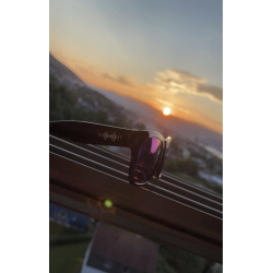 Stereodudes solbriller