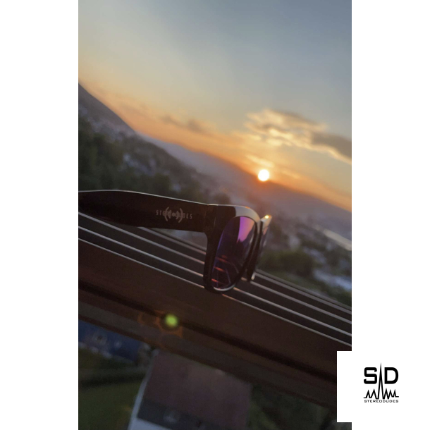 Stereodudes solbriller