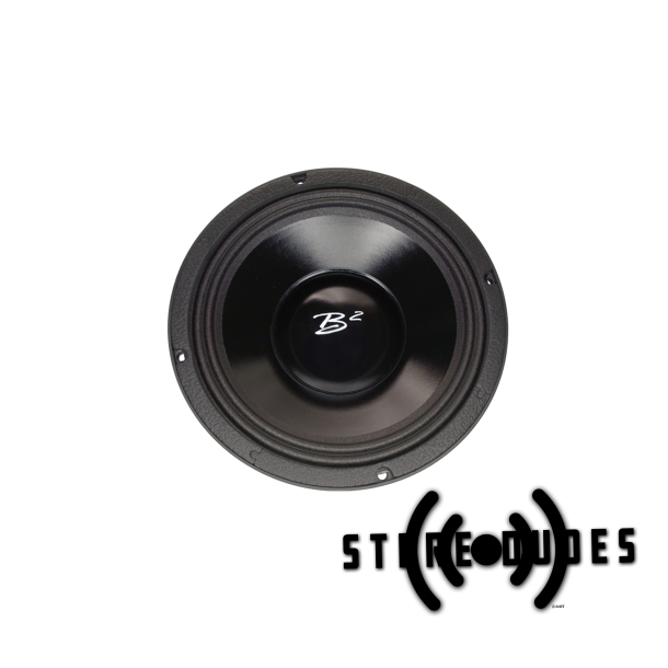 b2 audio 10 inch