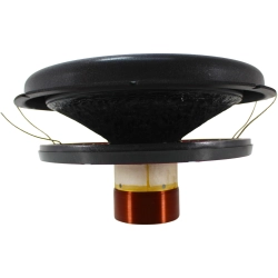 Drop-in recone Riot 12" V2