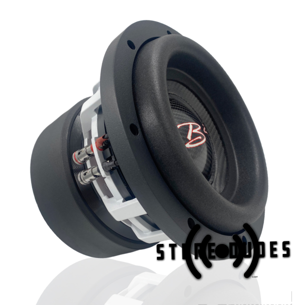 B2 8 hot sale inch subwoofer